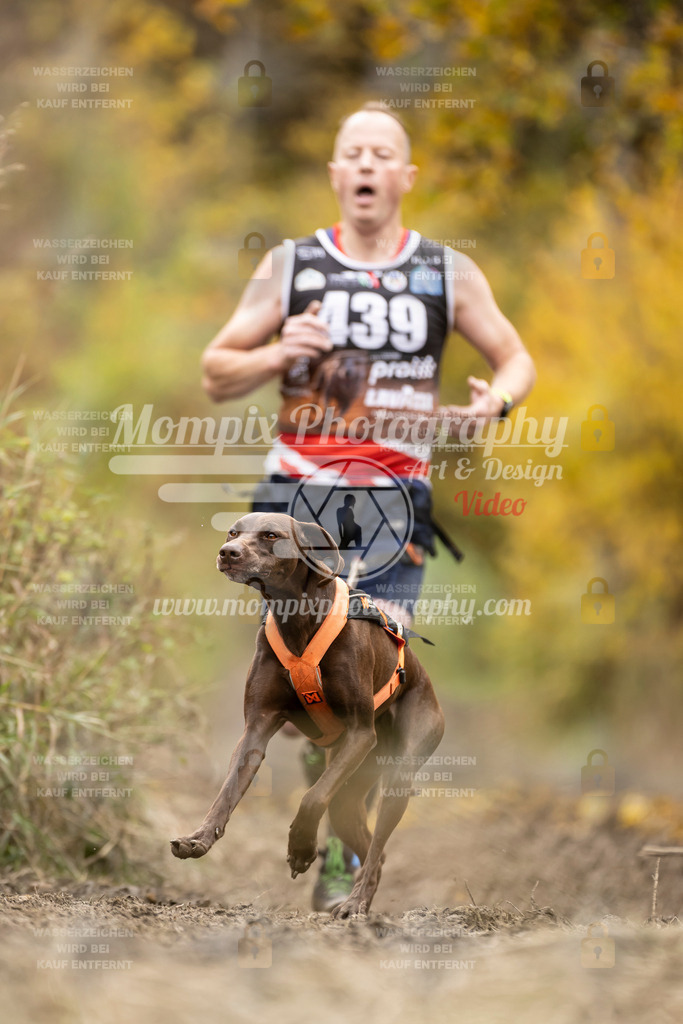 MompixPhotography_ICF_WC_2024_SA_Run_-439 | PayLife