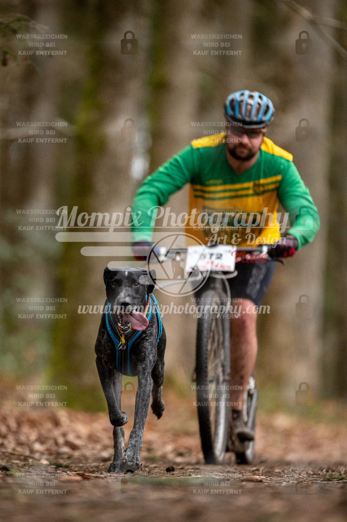 SPA_2023_DIM_Scooter-48 | PayLife