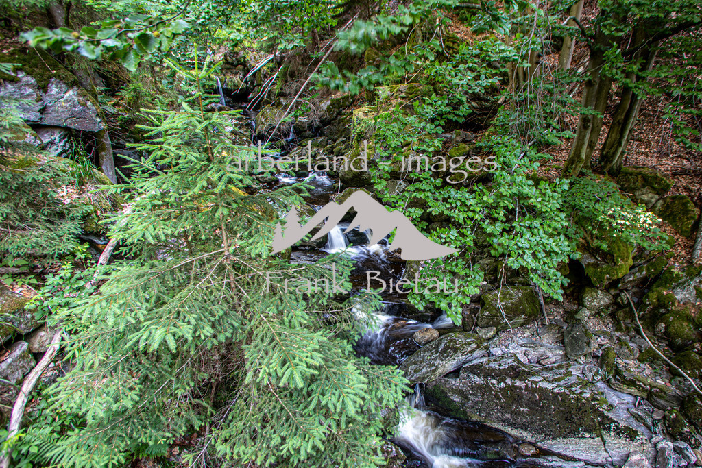 OE7A5232 | wildes Wasser und wilder Wald, mitten im Bayerischen Wald. Die Felsenschlucht wird oft auch als Naturjuwel bezeichnet und ist das Ziel vieler Wanderer.