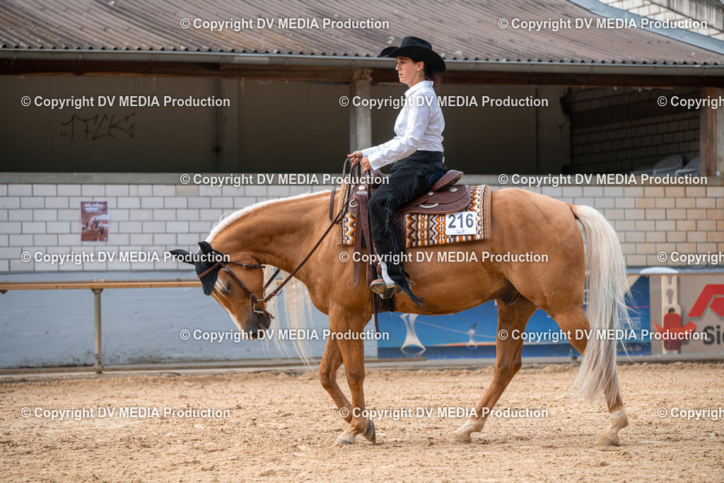 EWP_5642 | dv-media-shop - Realisiert mit Pictrs.com