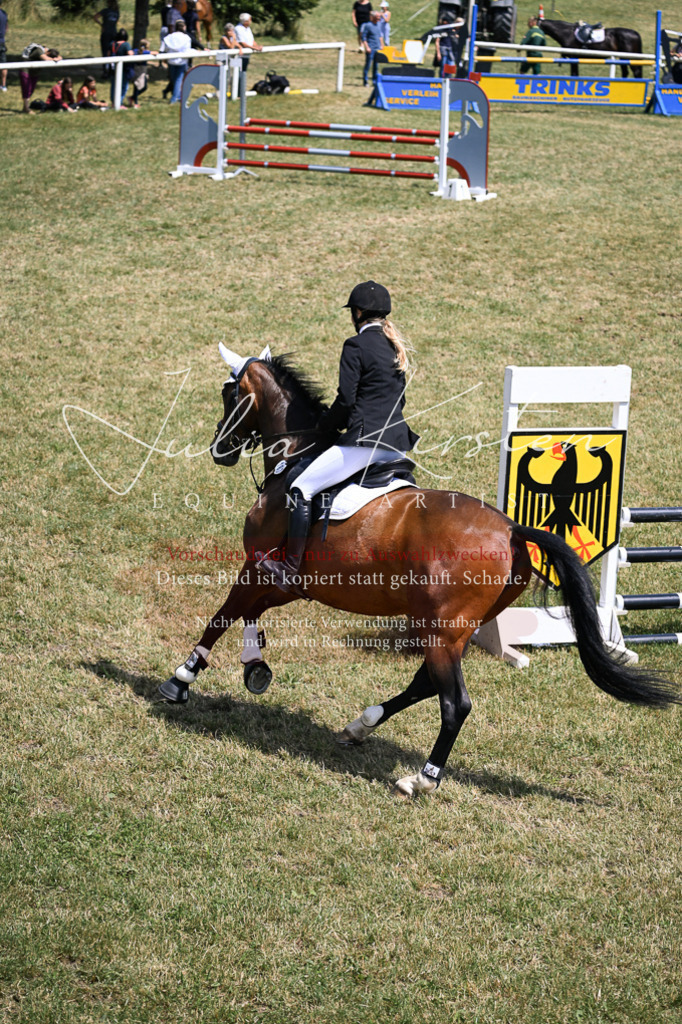 DSC_9871 | Pferde- und Turnierfotografie in Westsachsen. Pferdeportraits, Auftragszeichnungen und intuitive Kunst.