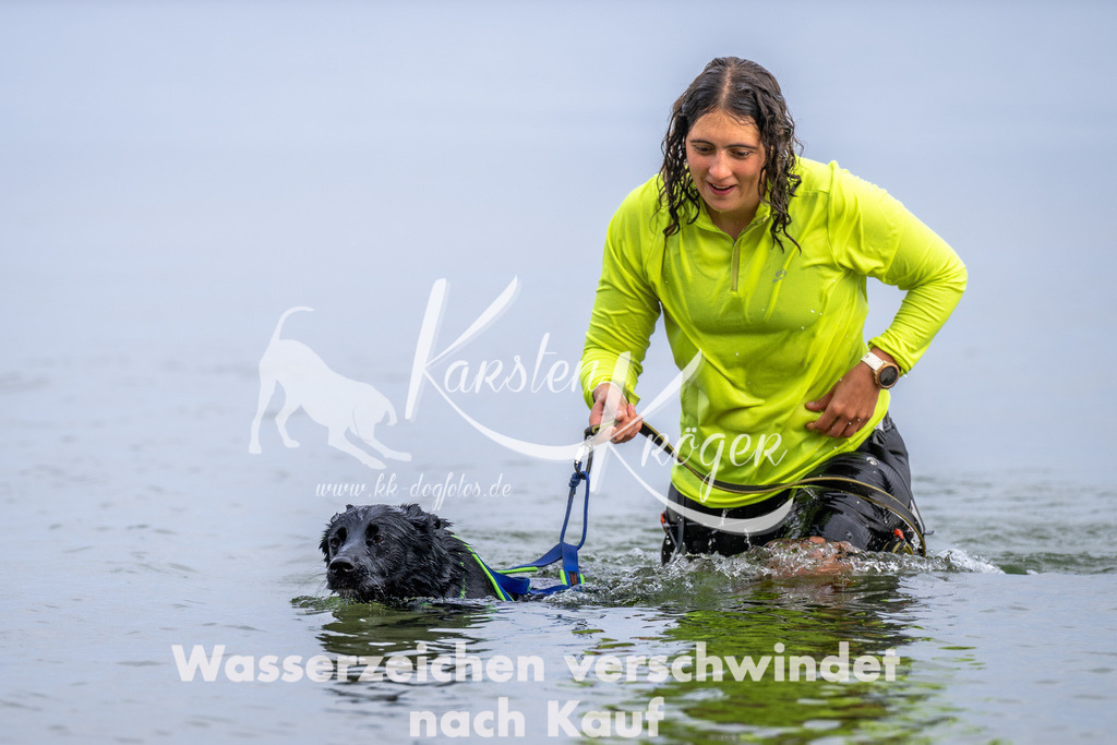 1219_ZZ90917 | kk-dogfotos