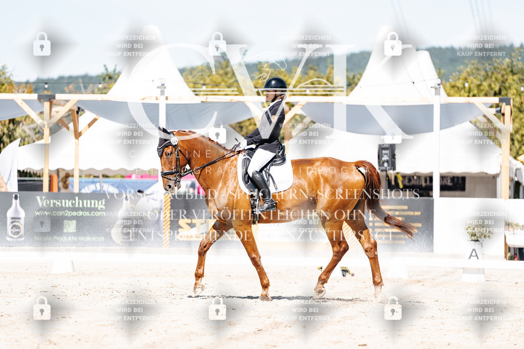 CK909505 | Turnierfotografie Pferdefotografie Trier Rheinland-Pfalz Pferdesport Reitsport Tierfotografie Sportfotografie Pferdevideo Pferdevideografie Equestrianvideography equestrianphotography  - Realisiert mit Pictrs.com