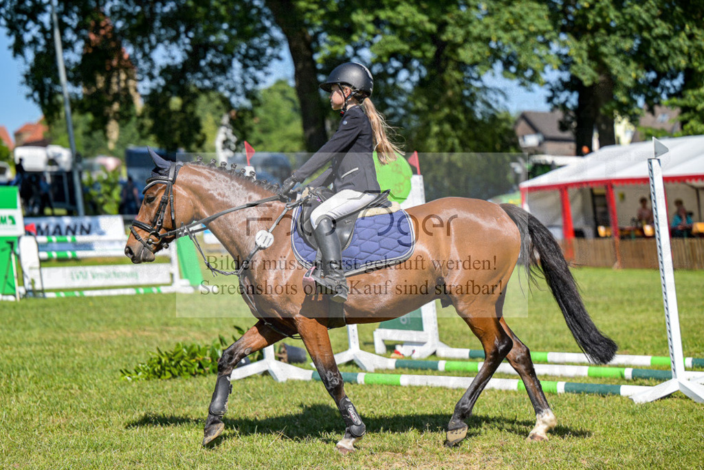 Reitturnier Voxtrup | Entdecke hochwertige Reitturnierfotos von Foto Oger. Professionell, emotional und authentisch – jetzt Lieblingsmomente im Shop bestellen.Deutschlandweite Turnierfotografie. - Realisiert mit Pictrs.com