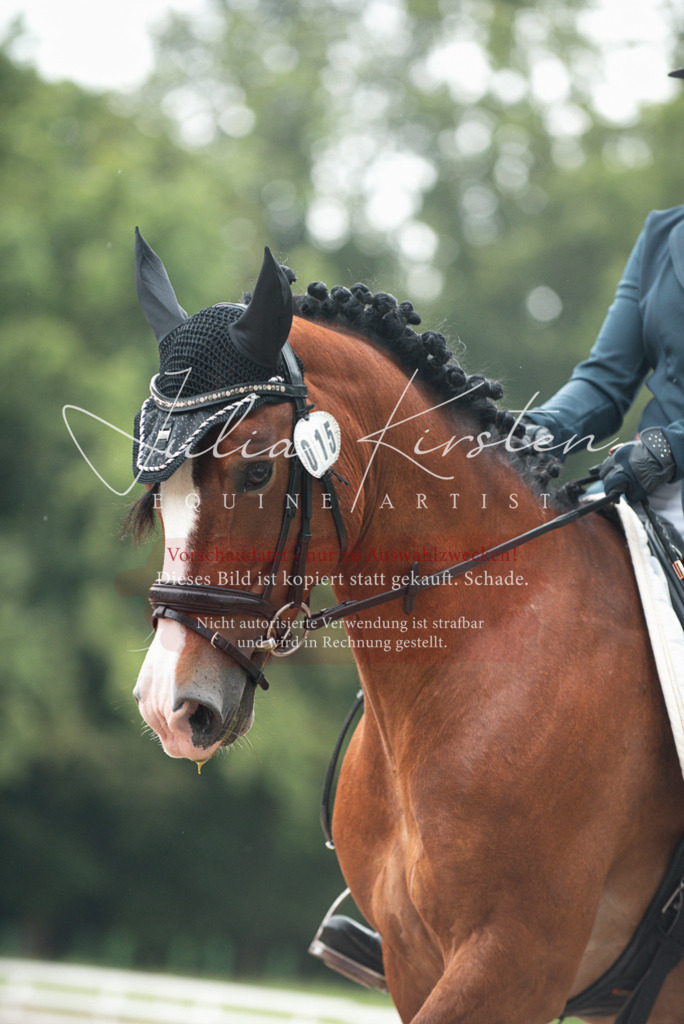DSC_9840 | Pferde- und Turnierfotografie in Westsachsen. Pferdeportraits, Auftragszeichnungen und intuitive Kunst.