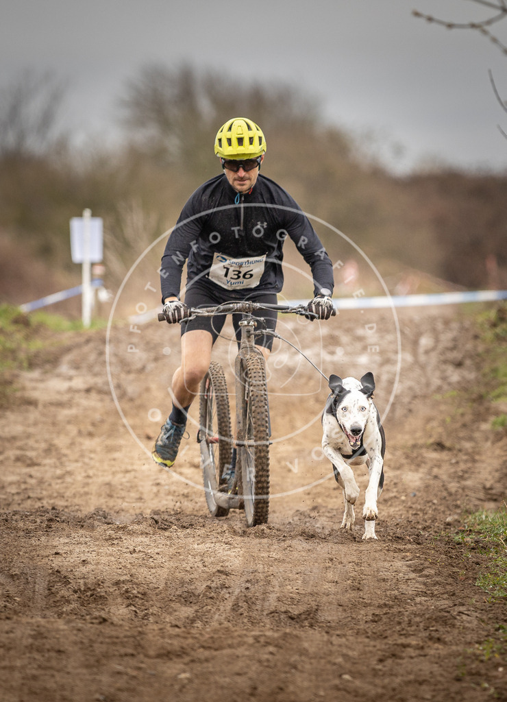 DV3A1311 | Hundefotografie, Tierfotograf, Pfotenfotografie, Fotoshooting Hund, Hunde Portrait, Hundesport, Hundeportraits, Heideshooting, Hunde, Sportfotograf, Hundefotograf, Turnierhundsport, THS,  - Realisiert mit Pictrs.com