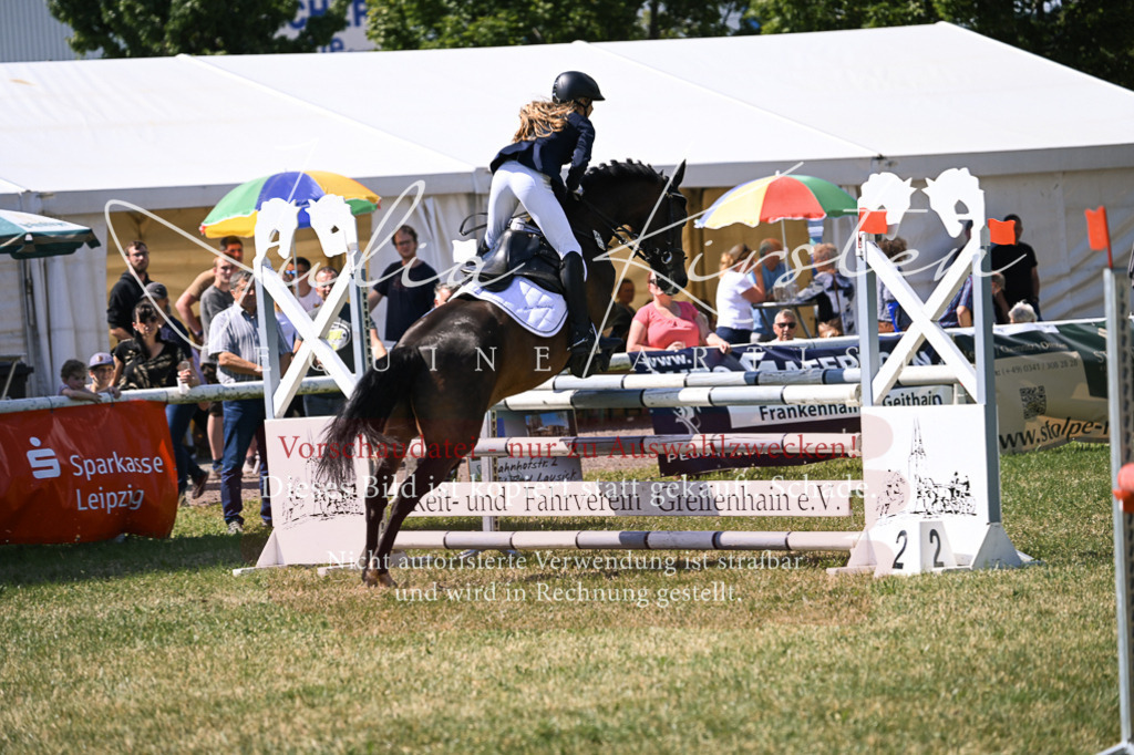 DSC_0399 | Pferde- und Turnierfotografie in Westsachsen. Pferdeportraits, Auftragszeichnungen und intuitive Kunst.
