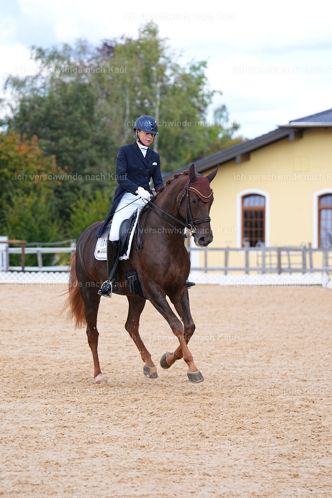 09_2-094-DRESSUR  S_  -Marixx-5970 | working equitationturnier fotograf videograf stoibphotography marixx film working equitation deutschland reitsport turnierfotografie eventfotografie equestrian events