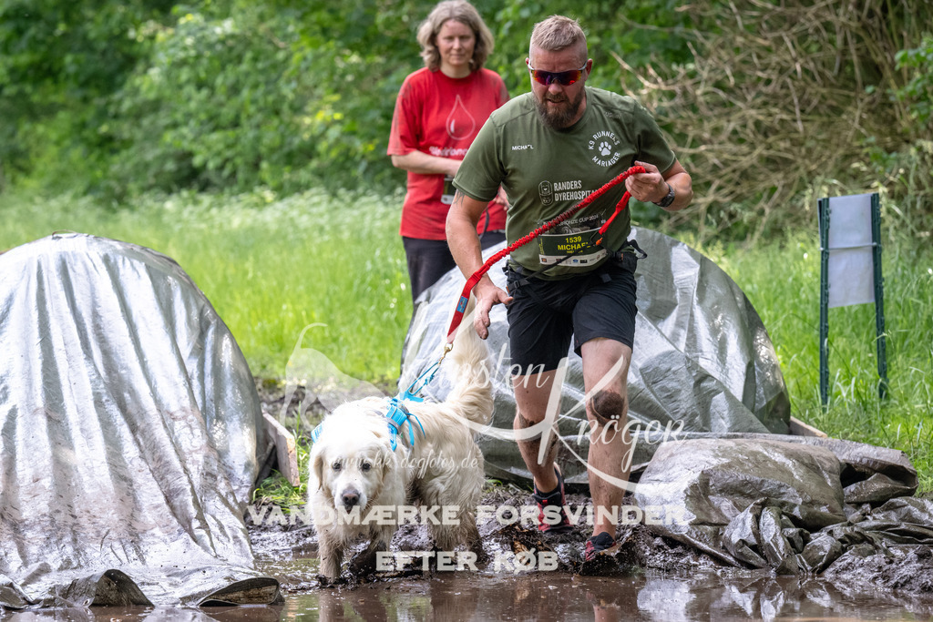 1248_ZZ93592 | kk-dogfotos