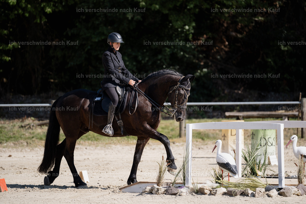 WM_ST_132_stoibphotography__SO12022 | working equitationturnier fotograf videograf stoibphotography marixx film working equitation deutschland reitsport turnierfotografie eventfotografie equestrian events