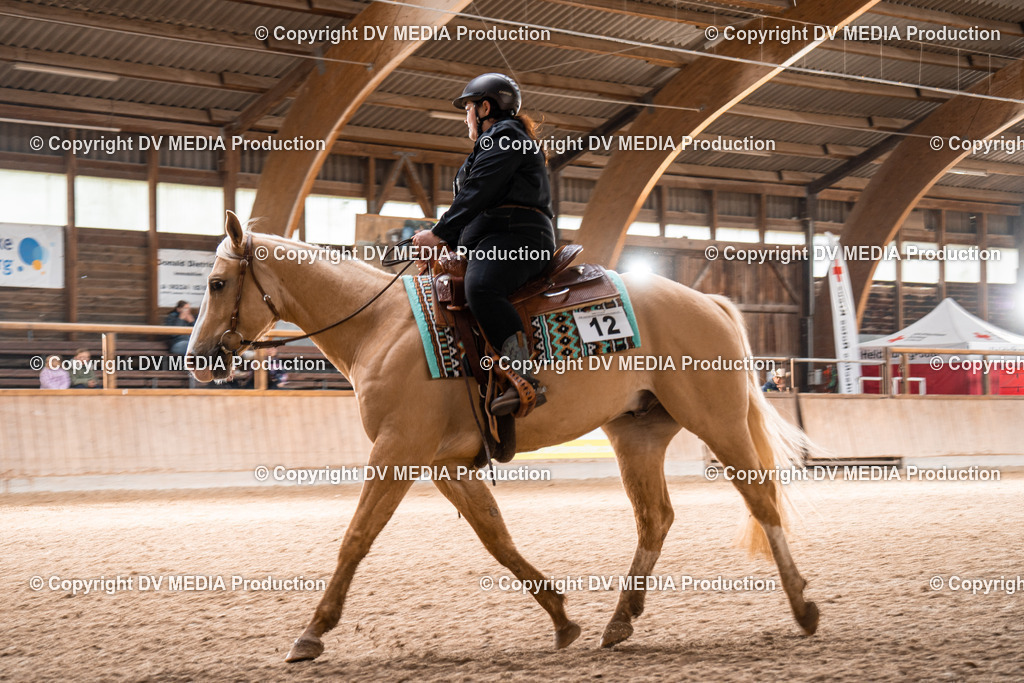 Heidelberg Tag 1-375 | dv-media-shop - Realisiert mit Pictrs.com