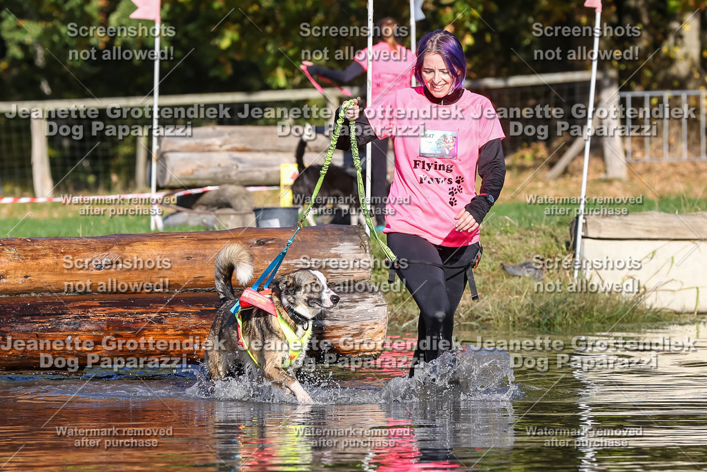 Dog Paparazzi - Strongdog 10-25-8810 | Dog Paparazzi Jeanette Grottendiek Fotografie & Videografie - Realisiert mit Pictrs.com