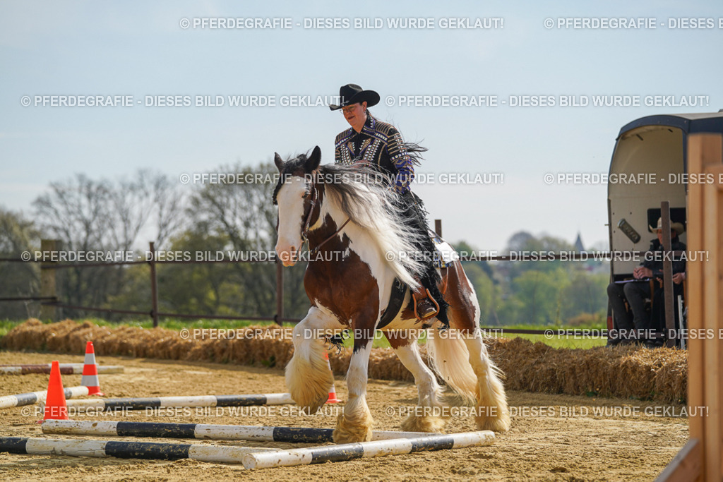 DSC01646 | Pferdegrafie