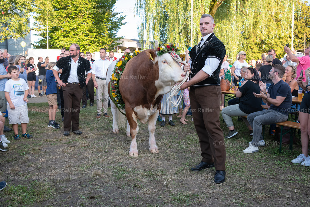 Schwingen -  Unspunnen Empfang 2023 | Wigoltingen, 2.9.23, Schwingen - Unspunnen Empfang.