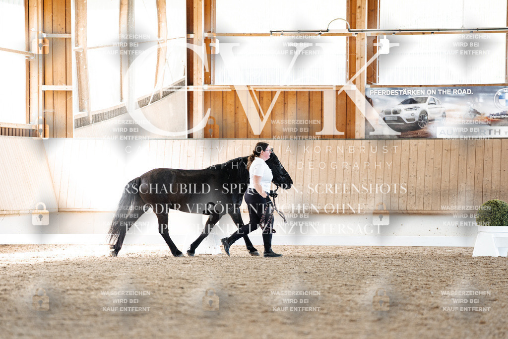 CK906537 | Turnierfotografie Pferdefotografie Trier Rheinland-Pfalz Pferdesport Reitsport Tierfotografie Sportfotografie Pferdevideo Pferdevideografie Equestrianvideography equestrianphotography  - Realisiert mit Pictrs.com