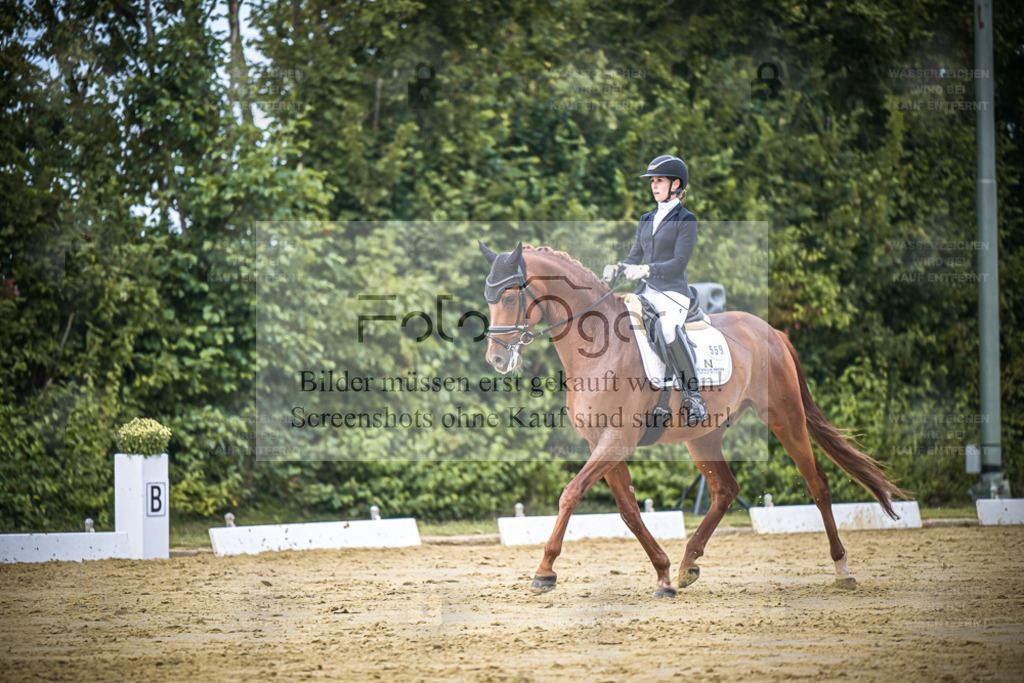 DOS_9239 | Entdecke hochwertige Reitturnierfotos von Foto Oger. Professionell, emotional und authentisch – jetzt Lieblingsmomente im Shop bestellen. - Realisiert mit Pictrs.com