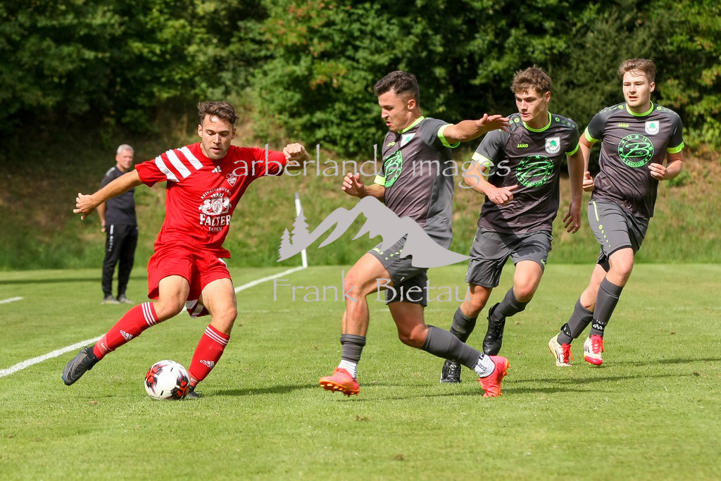 993T1129 | Medien- Sport- Entertainmentfotos