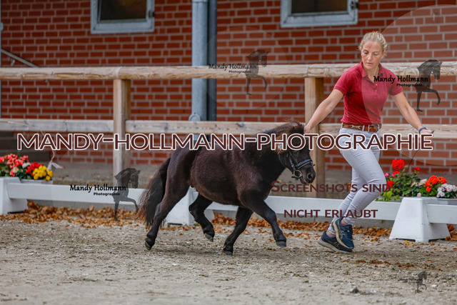 SH (76 von 345) | mandyhollmannphotographie