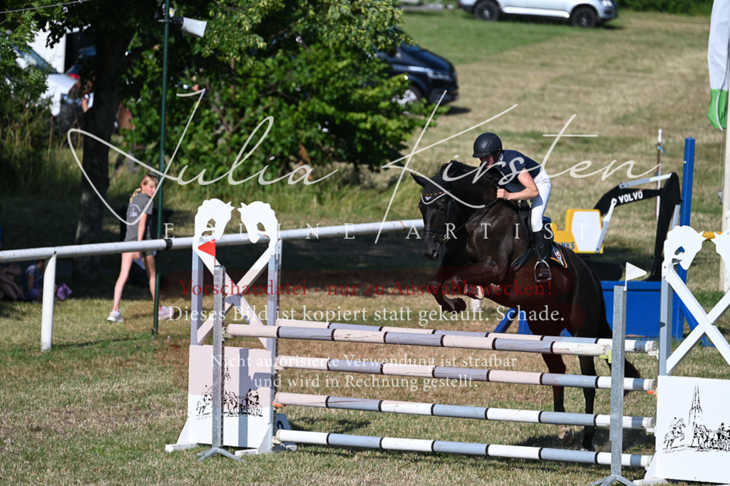 DSC_2553 | Pferde- und Turnierfotografie in Westsachsen. Pferdeportraits, Auftragszeichnungen und intuitive Kunst.