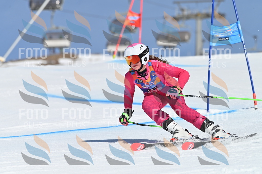 BGV_8727 | holidayphoto