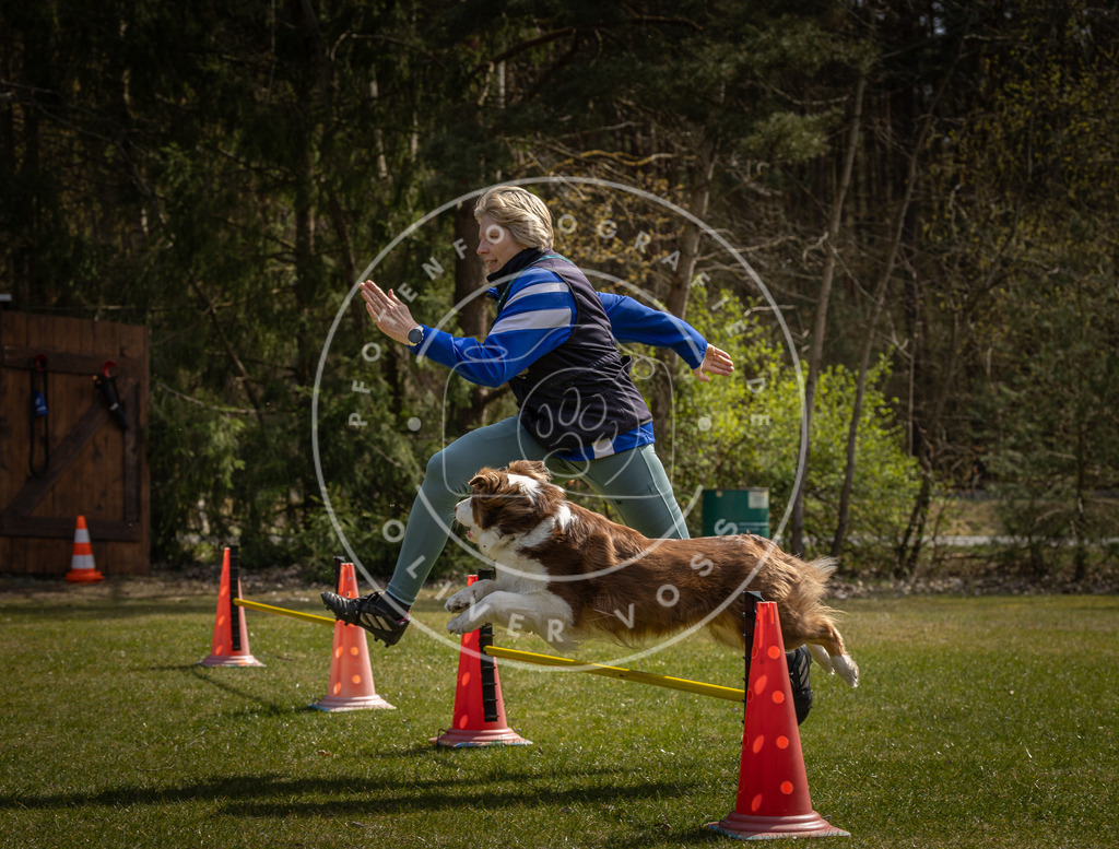 Pfotenfotografie_DV3A3278 | Hundefotografie, Tierfotograf, Pfotenfotografie, Fotoshooting Hund, Hunde Portrait, Hundesport, Hundeportraits, Heideshooting, Hunde, Sportfotograf, Hundefotograf, Turnierhundsport, THS,  - Realisiert mit Pictrs.com