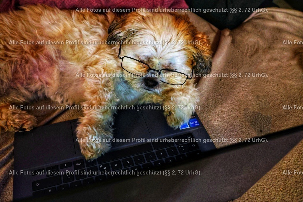 20240321213624_0C4A4110_2-01-01 | krollfotografie - Realisiert mit Pictrs.com