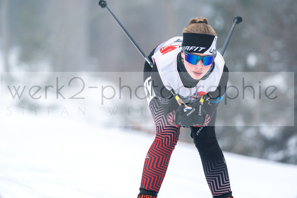 DSC Arber | Bayerischer Wald am 15. und 16. Januar 2022