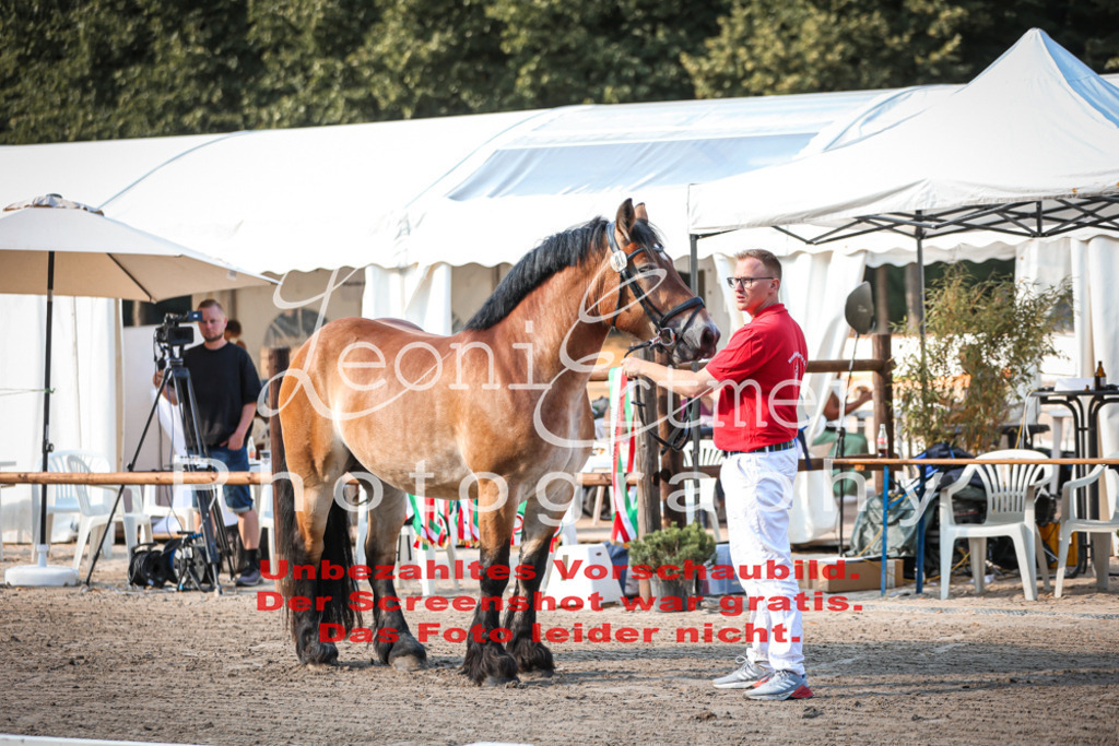 Fr4K00028 | Leoni Ertmer Photography - Realisiert mit Pictrs.com