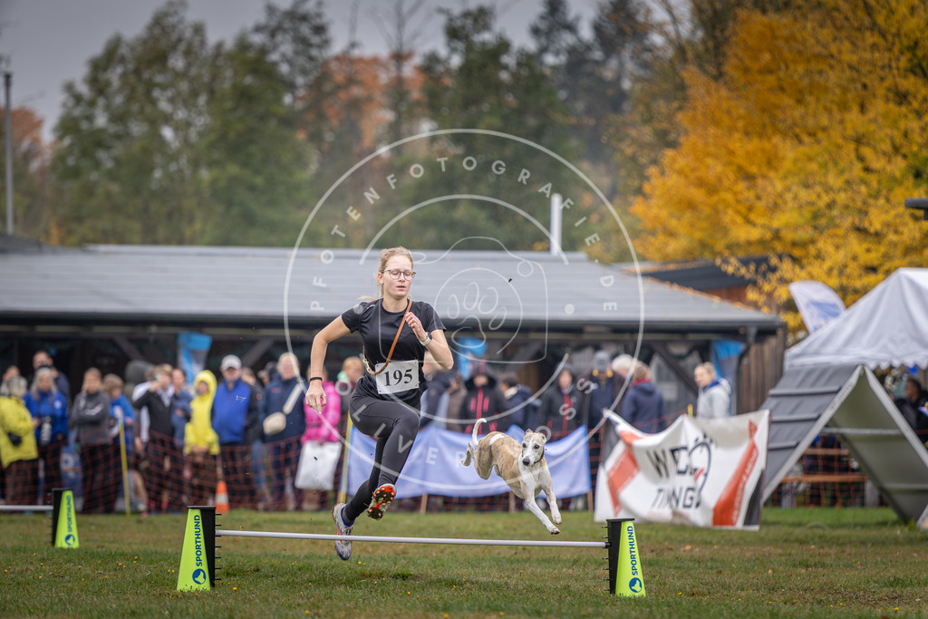 Pfotenfotografie_DV3A0698 | Hundefotografie, Tierfotograf, Pfotenfotografie, Fotoshooting Hund, Hunde Portrait, Hundesport, Hundeportraits, Heideshooting, Hunde, Sportfotograf, Hundefotograf, Turnierhundsport, THS,  - Realisiert mit Pictrs.com