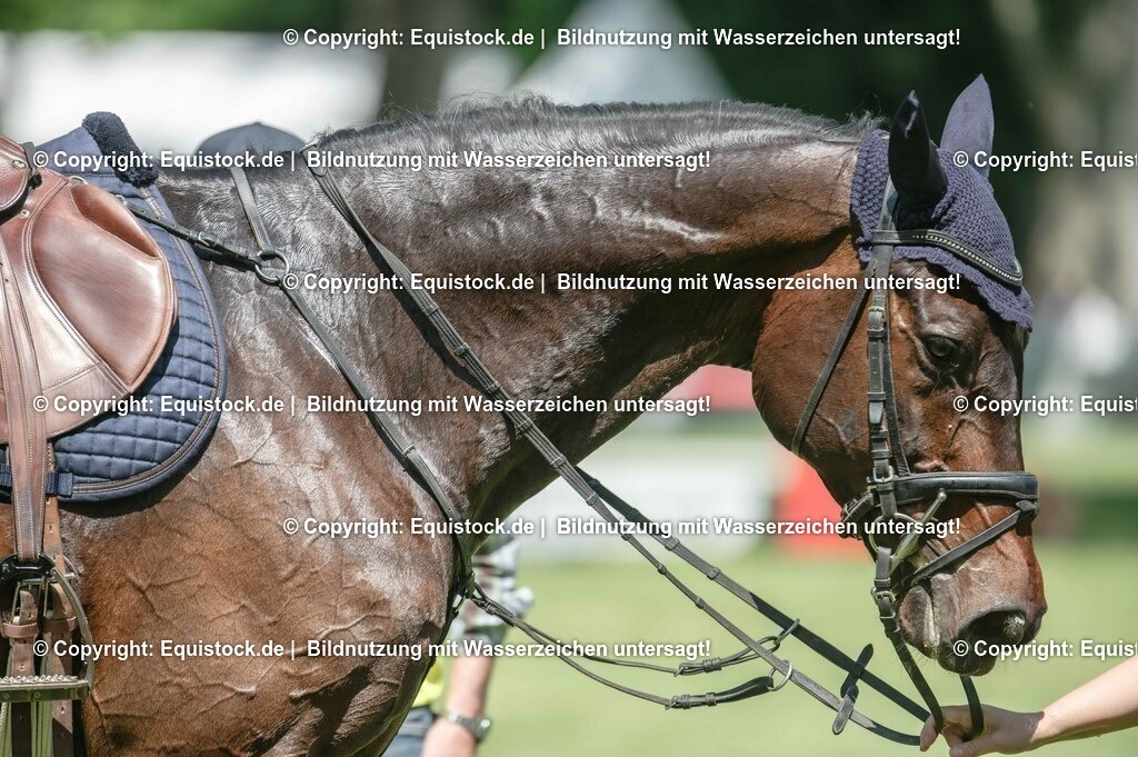 20230527_27_CCI4_Gelände_0080 | equistock