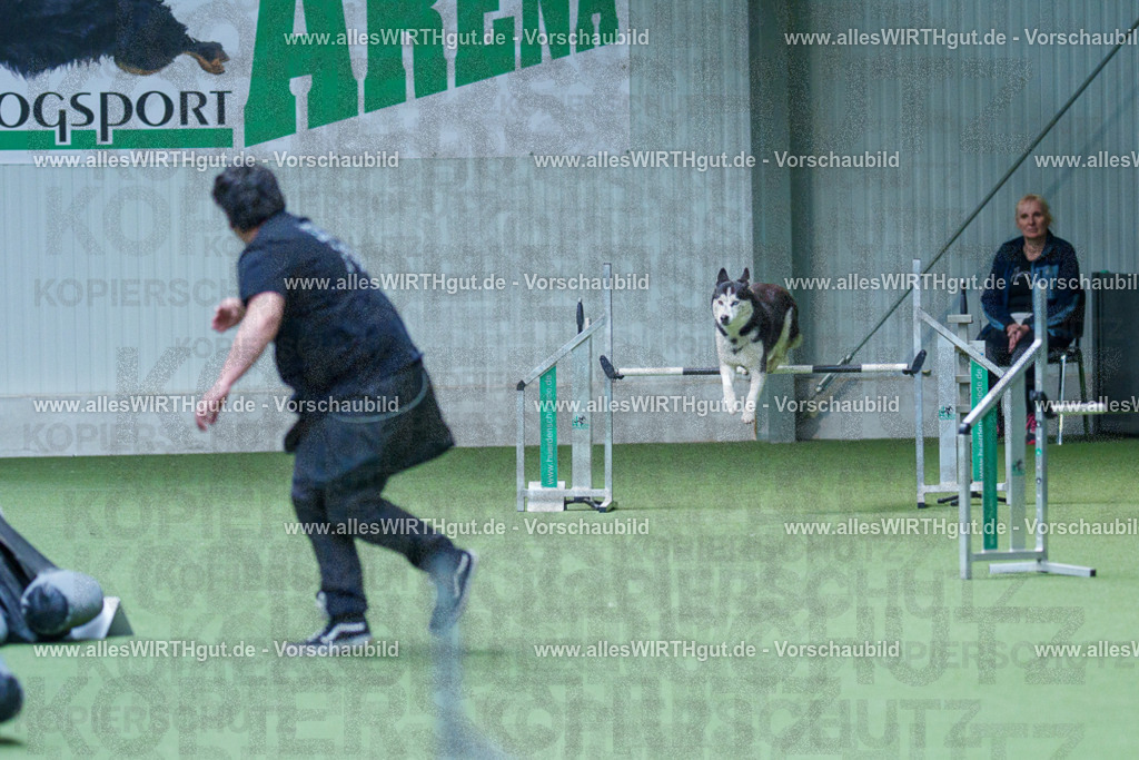 @allesWIRTHgut_Tierfotografie - www.allesWIRTHgut.de - 2604251520-7R505798 | Professionelle Tierfotografie in Mönchengladbach von Daniel Wirth (allesWIRTHgut). Liebevolle & natürliche Bilder von Hunden & Katzen für unvergessliche Erinnerungen.