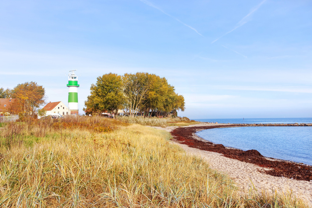 Wanndbild: Leuchtturm am Strandstrand in grün und weiß | Dieses Wandbild im Querformat zeigt einen Ostseestrand im Herbst. Im Vordergrund ist Strandhafer und der Sandstrand zu sehen. In der Ferne befindet sich ein schöner Leuchtturm in grün und weiß. Direkt neben dem Leuchtturm stehen herbstliche Bäume. Der blaue Himmel ist fast wolkenlos.  - Realisiert mit Pictrs.com