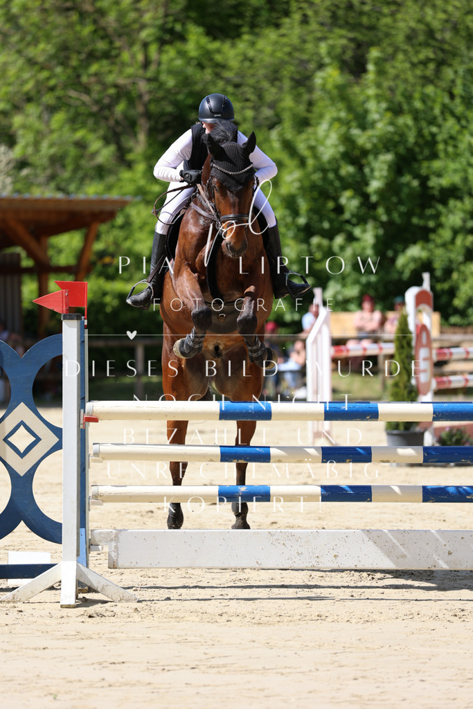 IMGS9790 | pl-fotografie