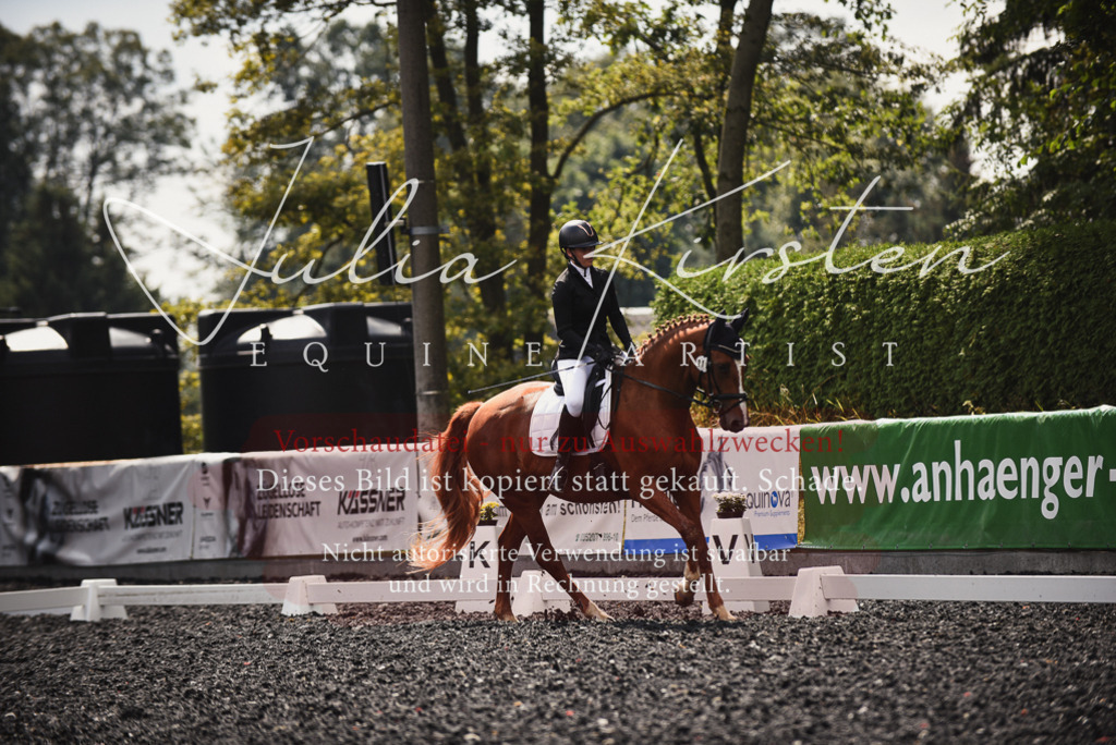 DSC_3886 | Pferde- und Turnierfotografie in Westsachsen. Pferdeportraits, Auftragszeichnungen und intuitive Kunst.