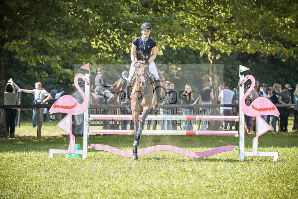 DOS_0382 | Entdecke hochwertige Reitturnierfotos von Foto Oger. Professionell, emotional und authentisch – jetzt Lieblingsmomente im Shop bestellen.Deutschlandweite Turnierfotografie. - Realisiert mit Pictrs.com