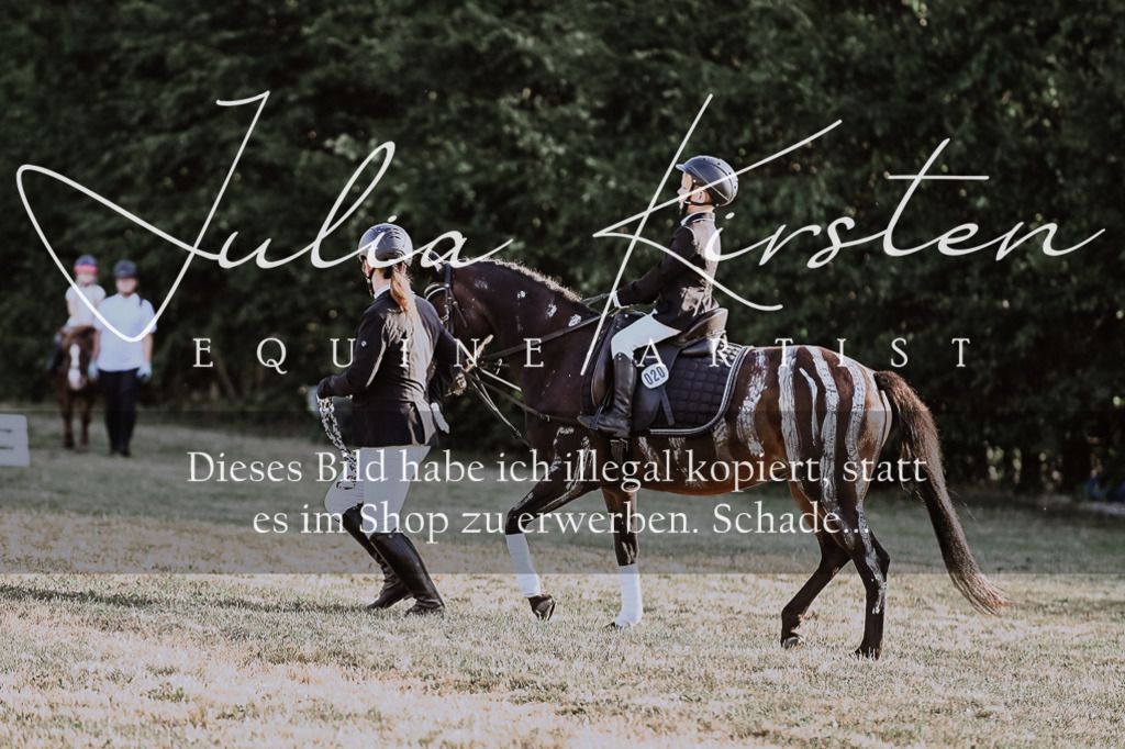 DSC_0209 | Pferde- und Turnierfotografie in Westsachsen. Pferdeportraits, Auftragszeichnungen und intuitive Kunst.