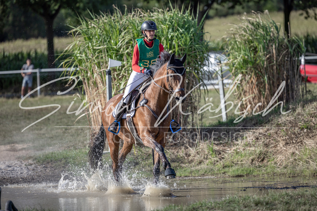 20250907-_3LI3907 | Tierfotografie Pferde, Hunde, Katzen, Haustiere.
Turnierfotografie Reitturniere, Reiten, Springreiten, Dressur in Hanau, dem Main-Kinzig-Kreis und dem Rhein-Main- Gebiet um Frankfurt