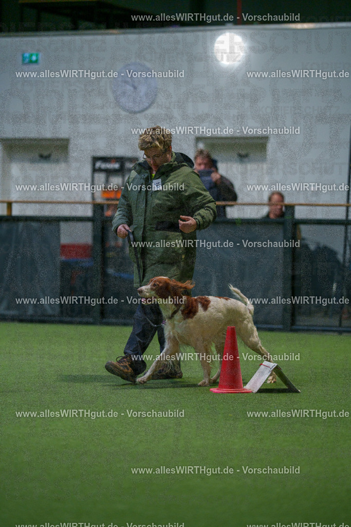 7R500142 | Professionelle Tierfotografie in Mönchengladbach von Daniel Wirth (allesWIRTHgut). Liebevolle & natürliche Bilder von Hunden & Katzen für unvergessliche Erinnerungen.
