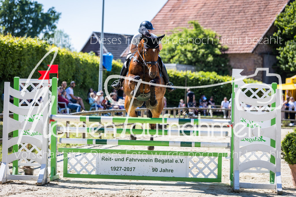 Donop24-M-Spr-069 | MomenTaufnahmen Pferdesportfotos