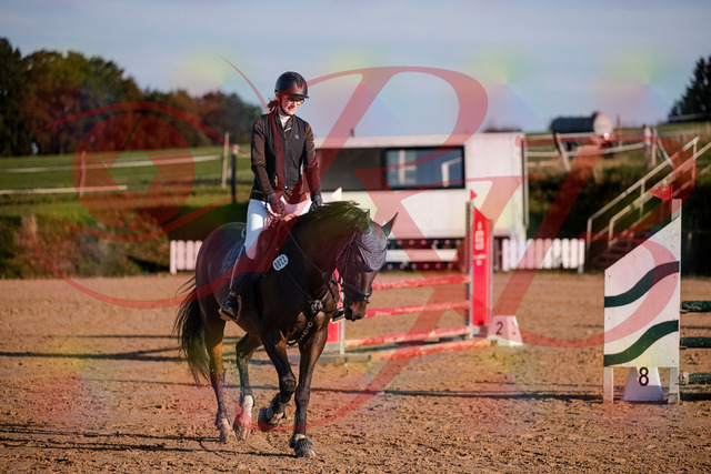 2026_10_03_Siefer-Hof_172000_Z81_17868726 | Professionelle Reitsport-, Turnier- und Eventfotografie von Robert Broda. Galerien mit ausgewählten und bearbeiteten Bildern direkt online ansehen und bestellen.