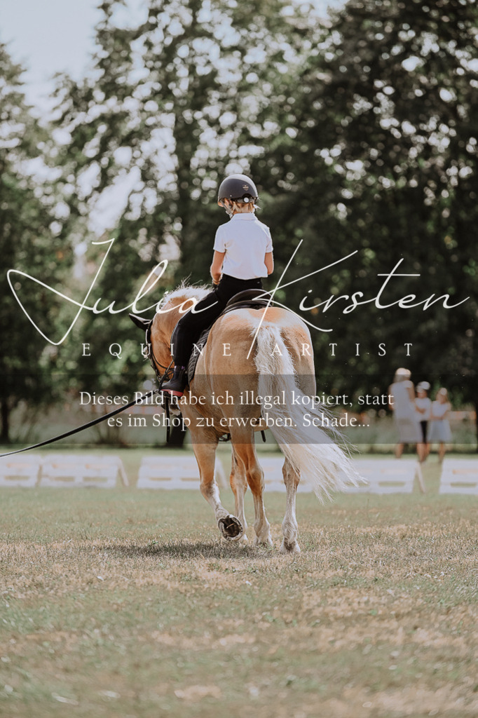 DSC_7762 | Pferde- und Turnierfotografie in Westsachsen. Pferdeportraits, Auftragszeichnungen und intuitive Kunst.