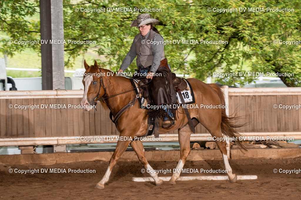 Erbach Tag 2-513 | dv-media-shop - Realisiert mit Pictrs.com