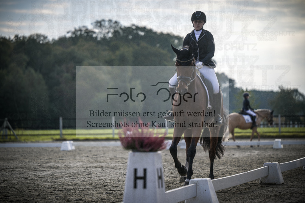 DOS_4946 | Entdecke hochwertige Reitturnierfotos von Foto Oger. Professionell, emotional und authentisch – jetzt Lieblingsmomente im Shop bestellen.Deutschlandweite Turnierfotografie. - Realisiert mit Pictrs.com