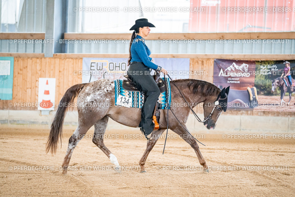 DSC01214 | Pferdegrafie