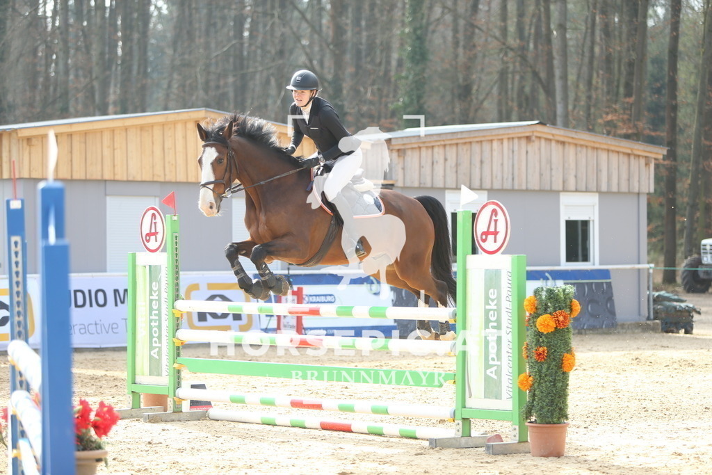 DL2Q0487 | Willkommen bei Brunnmayr - Design & Fotografie – Ihrem Spezialisten für Reitturniere und Pferdeveranstaltungen in Oberösterreich, Salzburg und Bayern! Seit über 17 Jahren sind wir leidenschaftlich dabei.