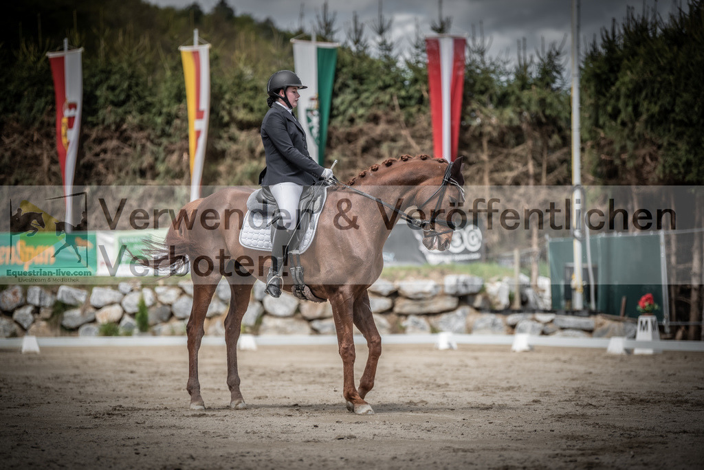 DSC_2894 | equestrian-live-com