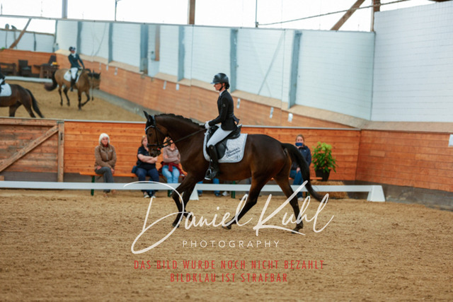 _62_5527 | Turniersportfotografie; Pferdefotografie; Dressurfotografie