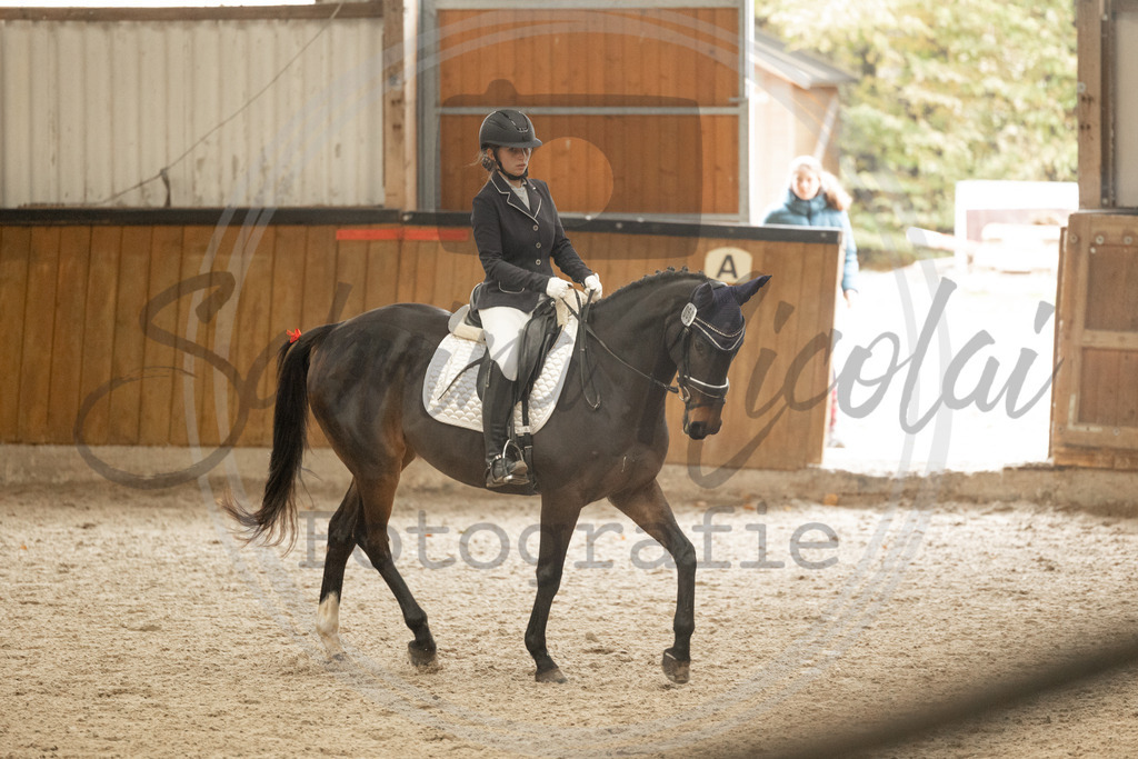 994A3927 | sabrinanicolaifotografie - Realisiert mit Pictrs.com