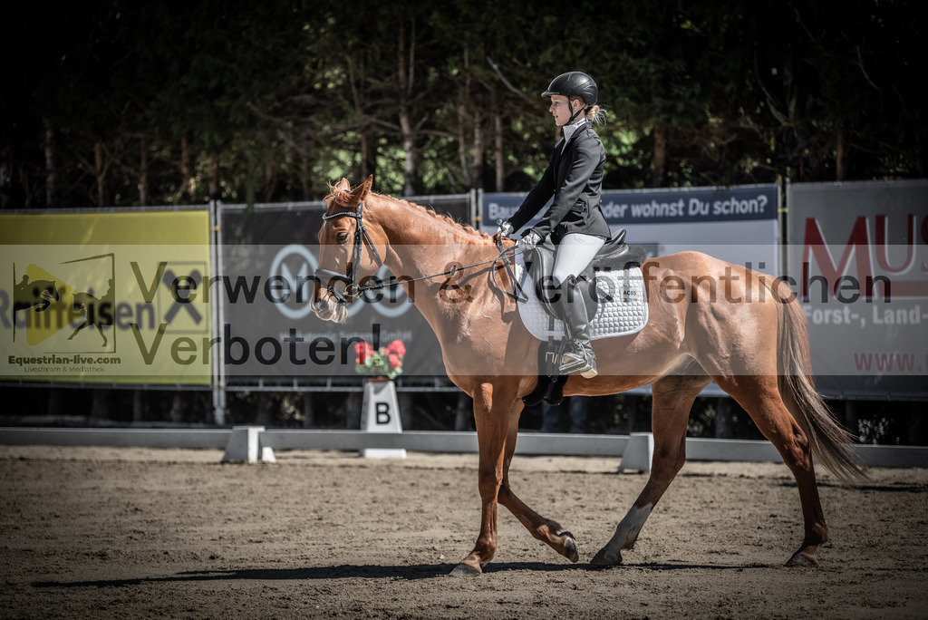 DSC_0099 | equestrian-live-com