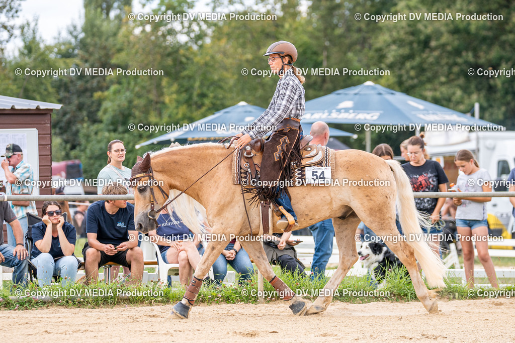 LM Heiligenwald Tag 2-1600 | dv-media-shop - Realisiert mit Pictrs.com